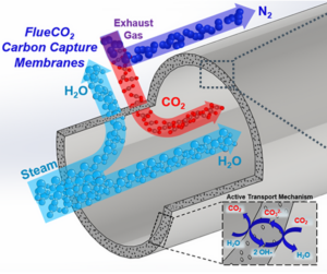 Image showing gas flow through FlueCo2 membranes - thumbnail