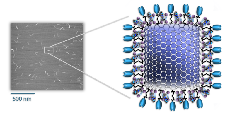 NanoVac HIV 1