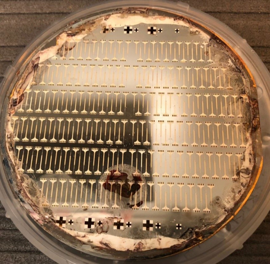 Wafer showing dozens of produced electrodes